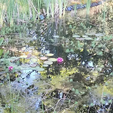Le Hameau Secret *